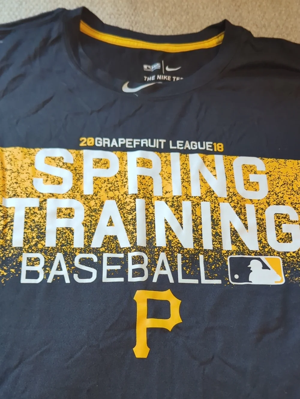 Mens Pittsburgh Pirates Soring Training Nike Dri Fit T Shirt Size XL NWT
